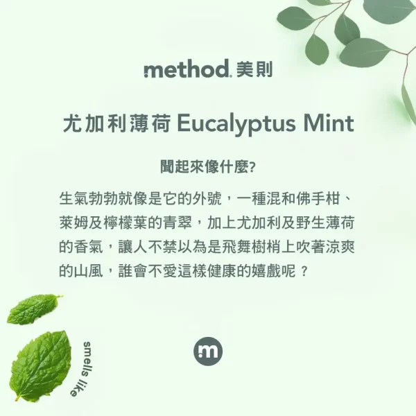 浴廁抗菌清潔劑 – 留蘭香 828ml：圖片 2