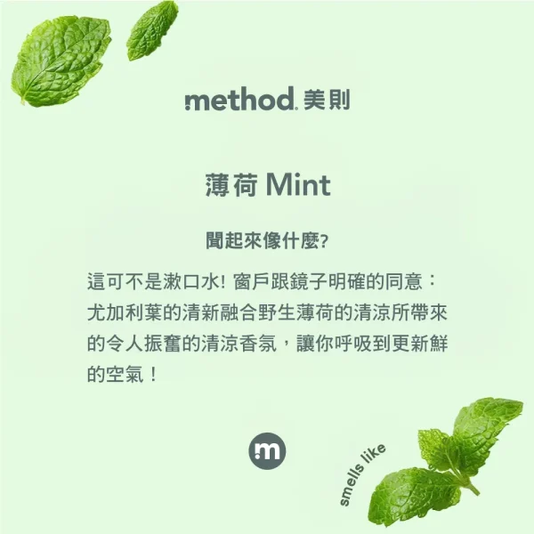最好的玻璃清潔劑 – 薄荷 2L：圖片 2