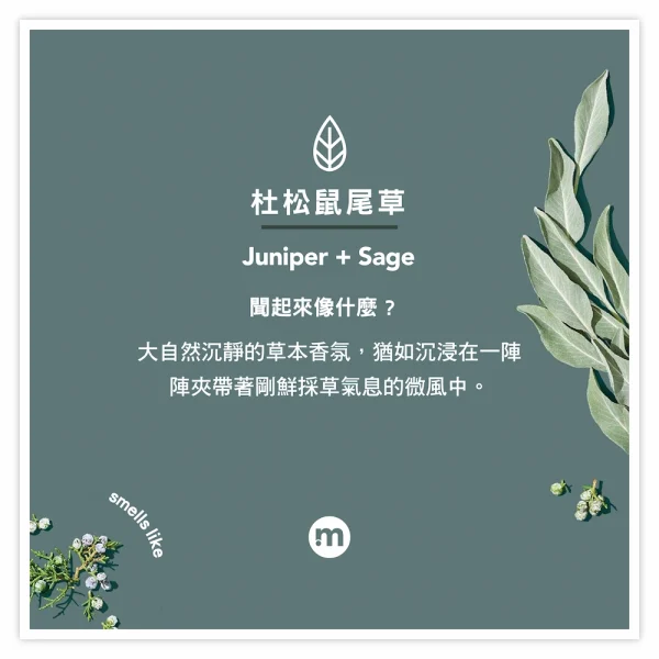 男仕潔膚露 – 杜松鼠尾草 532ml：圖片 2