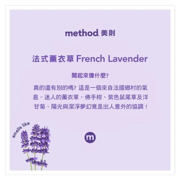 全效多功能清潔劑 – 法式薰衣草 828ml：圖片 2